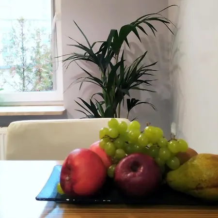 Apartment Cystersow Park